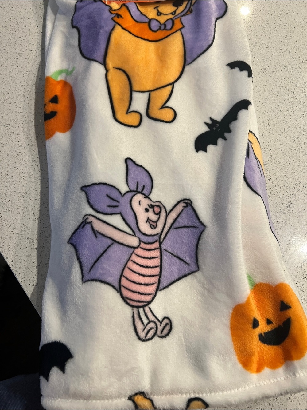 Disney Halloween Winnie the Pooh and Piglet throw blanket 50x70 - Picture 2 of 3